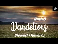 Dandelions [Slowed + Reverb] - Ruth B.| Lofi Songs | BRS |