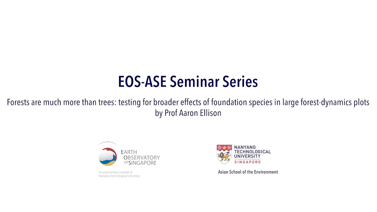 Testing for broader effects of foundation species in large forest-dynamics plots