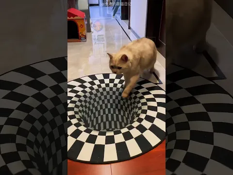 देखो इस बिल्ली और इस owner का प्यार #kindnessiscool #cat #shorts
