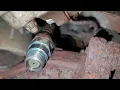 FIX O2 Sensor 10 P0135 P0175 P0713 P0171 P0162 P0160 P0161 P0163 P0420 P0430 DTC