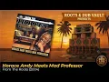 Horace Andy Meets Mad Professor – From The Roots (2004) | Full Album | Roots & Dub Vault