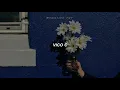 Vico C - Me Acuerdo ;《Letra》