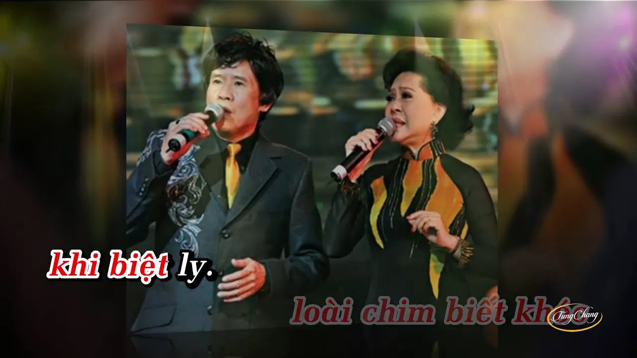 Một Loài Chim Biển   - XT ft BK