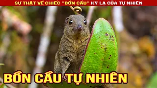 Chú Nhen Thông Minh Và Chiếc "Bồn Cầu" Kỳ Lạ Của Tự Nhiên #shorts