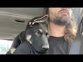 I Adopted a Dog to Heal Myself - What Happened Next Was Life-Changing