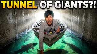 I Found a Secret Tunnel FULL of GIANT Bass!