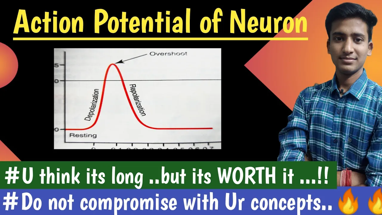 Action Potential Of Neuron ||Nerve Muscle Physiology Lectures|| First Year MBBS ||Ashish