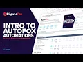 Training - Introduction AutoFox Automations
