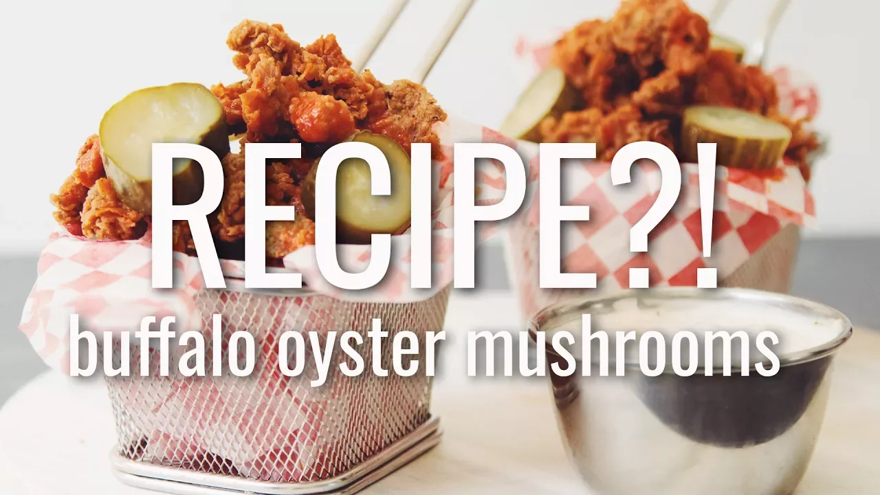 buffalo oyster mushrooms   RECIPE?! ep #18 (hot for food)