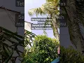 Download Lagu Kerja keraslah kawan