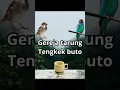 Lagu tengkek buto vs gereja tarung #masteranonline
