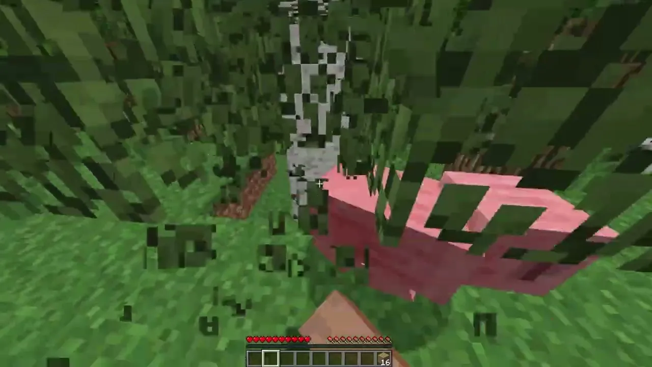 Minecraft Portifolio #2