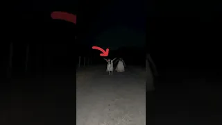 فيديو مرعب جدا رعب اكسبلور Explore  فيديو مرعب جدا رعب اكسبلور Explore