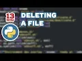 Python Tutorials - Deleting a File
