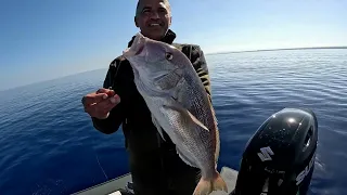 SİNARİTLERİ CİHAZIMIZLA TEK TEK TESPİT ETTİK 