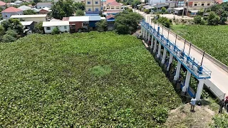 Massive Project to Remove Floating Plants Clogged Water Gate