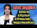 Download Lagu БУГУН ВАФОТ ЭТДИ ЎЗБЕКЛАР САБР БЕРСИН... 