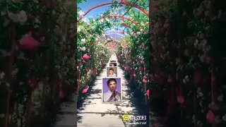 Юрочка родной наш как же так могло случиться я не могу до сих пор придти в себя 