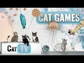 Download Lagu Cat Games | Ultimate Cat TV Compilation Vol 6 | 1 HOUR 🐱📺🐶🍭🧀🐔🐟🌊🐭🌱