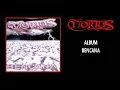 Download Lagu Mortus - Bencana