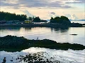 Twilight Low Tide