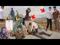 Zeinab s threat over Sindh Khana Ali stood up to Omid and Mahnaz