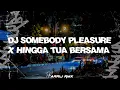 Download Lagu DJ SOMEBODY PLEASURE X HINGGA TUA BERSAMA BOOTLEG 2024