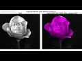 Image Segmentation Active Contours SimpleITK Python