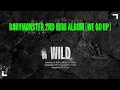 BABYMONSTER - ‘WILD’ (Official Audio)