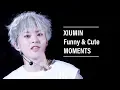 Lagu EXO Xiumin Funny \u0026 Cute Moments