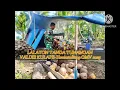 Download Lagu Lalayon Tanda Tunangan-Valdie Kulape Homestodio OMV 2025