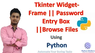 Tkinter Widget UI development Frame Password Entry Box Checkbutton BrowseFile Button