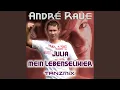 Download Lagu Julia mein Lebenselixier (Tanzmix)