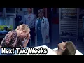 Days of Our Lives Spoilers Next 2 Weeks November 3 to 14 2025 DOOL Next Two Weeks