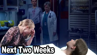 Days of Our Lives Spoilers Next 2 Weeks November 3 to 14 2025 DOOL Next Two Weeks