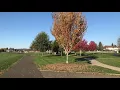 Legacy Park - Canby Oregon