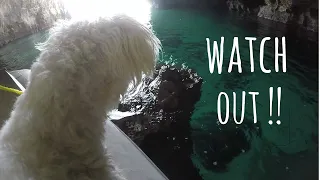 It’s summer & livin’ is easy!  [Ep 55] Sailing Salacia Star