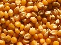 Kernel Governors Explained