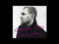 DAVID GRAY - This Year's Love (Official Audio)