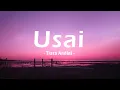 Download Lagu Tiara Andini - Usai (Lirik)