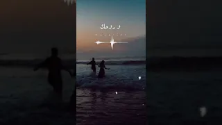 حالات واتس وائل جسار Wael Jassar بحبك مش هقول تاني حالات واتس وائل جسار Foryou 