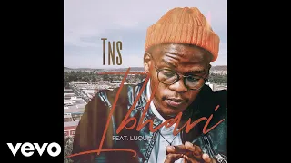 tns ibhari official audio ft luqua