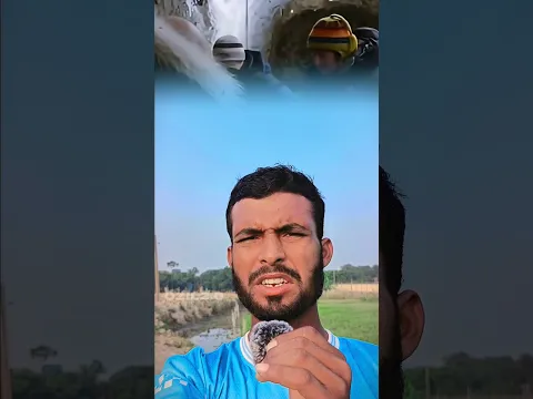 ৩৬,০০০ বছরের পুরনো মৃত প্রাণীর মাংস রান্না করে খেয়ে ফেলল বিজ্ঞানীরা! 😱🥩 | The Blue Babe Mystery