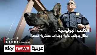 الكلاب البوليسية    أبطال برواتب عالية وجنازات عسكرية ضخمة  دندنها