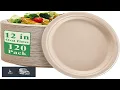 Vplus 100 Compostable Oval Paper Plates 12 inch 120 Pack Nature