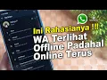 Download Lagu Cara Agar WA Terlihat Offline Berhari Hari Padahal Online