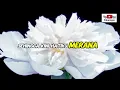 Download Lagu Datang untuk Pergi lirik original