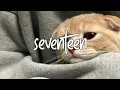 Download Lagu SEVENTEEN - JKT 48 || SPEED UP - REVERB || VIRAL TIKTOK 🌿