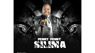 penny penny silima amapiano beef to malema