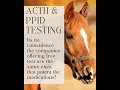 Increased ACTH Levels and PPID - There are more options than medication